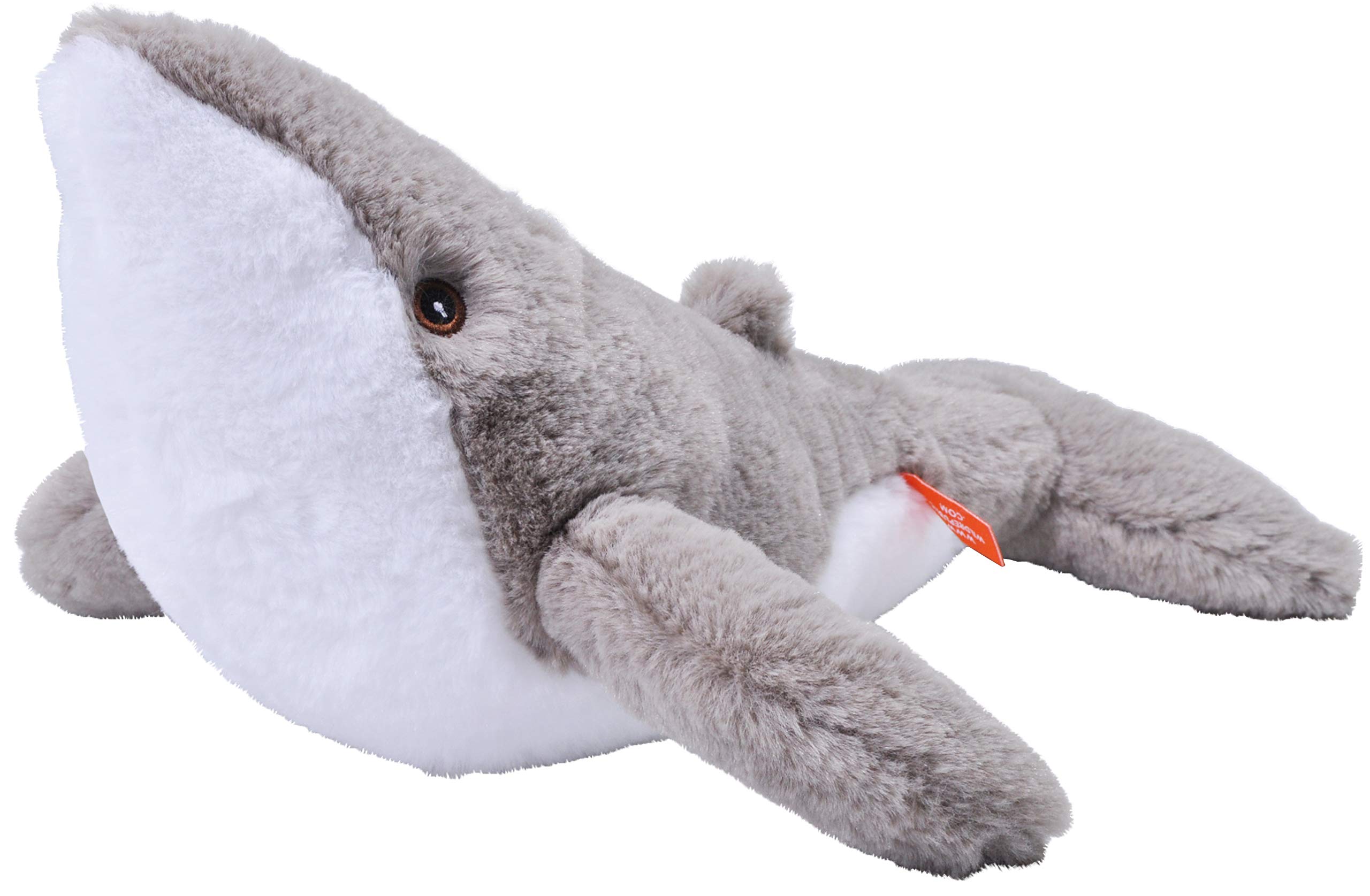 快適グッズ・旅行小物 TKNK PRODUCTS hanging whale Amazon.com: Safari Ltd. Whales TOOB - 10 Mini Plastic Whale